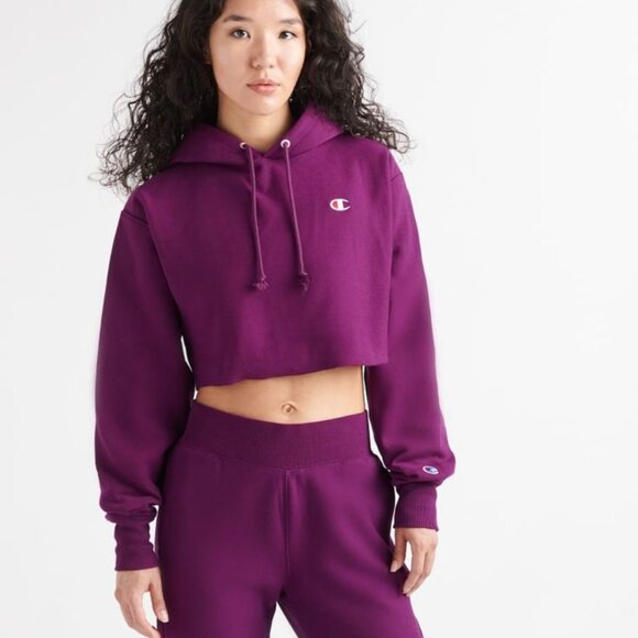 Champion Sweater in Dark Berry Purple - Picture 1 of 3